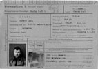 Link to Enlarged View of German I.D. Card